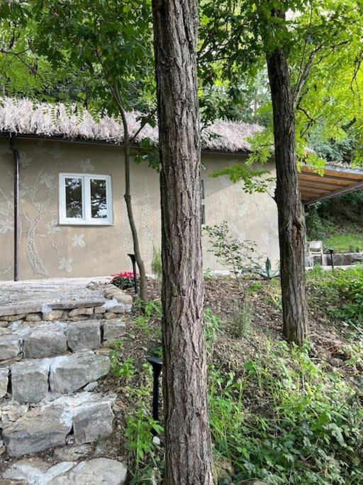 Eco-Chic Retreat: Countryside Oasis Near Florence Pozzolatico Luaran gambar